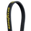 Goodyear Belts 2060519 Dual Sided Serpentine Belt, 6-Rib, 51.9" Length