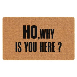 naniyihao Ho,Why is You Here 30"x17" Outdoor Door Mats for Front Door Outside Entry Doormats for Entrance Way Entry Rugs Indoor Welcome Mats for Front Door Doormats for Entrance Way Door Mat Inside