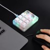Koolertron 9-Key Mechanical Numpad with 2 Programmable Knobs, LED Backlit