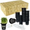 72 Pcs 1.2-Inch Rockwool Cubes with Net Cups and Self-Watering