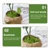 MaNeaz 60 g Moss for Crafts Artificial Moss Moss Craft