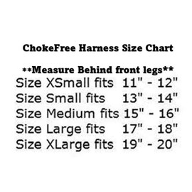 ChokeFree Velpro Mesh Pet Shoulder Harness Collar (Mint, 12')