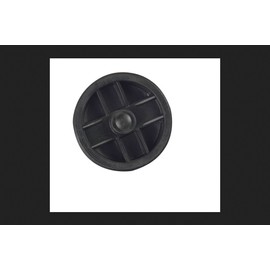 Sioux Chief Recessed Plug 2 " Abs Polypropylene Brass