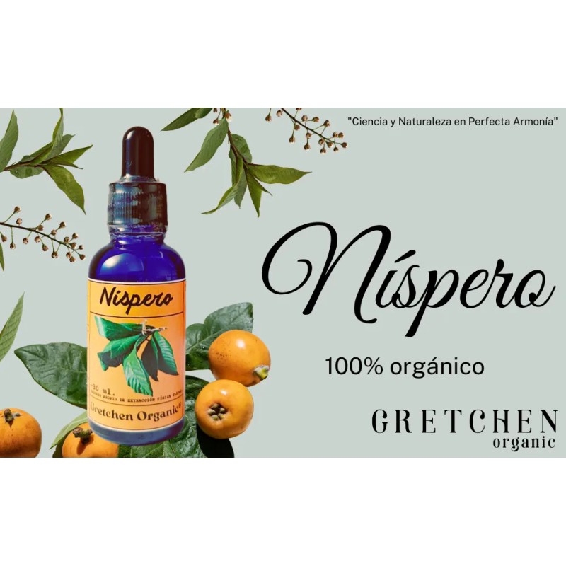 Hoja De Níspero, Triple Extracto Ultra Concentrado Natural