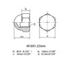 M10X1.25mm 304 Stainless Steel Fine Thread Hex Acorn Cap Nuts