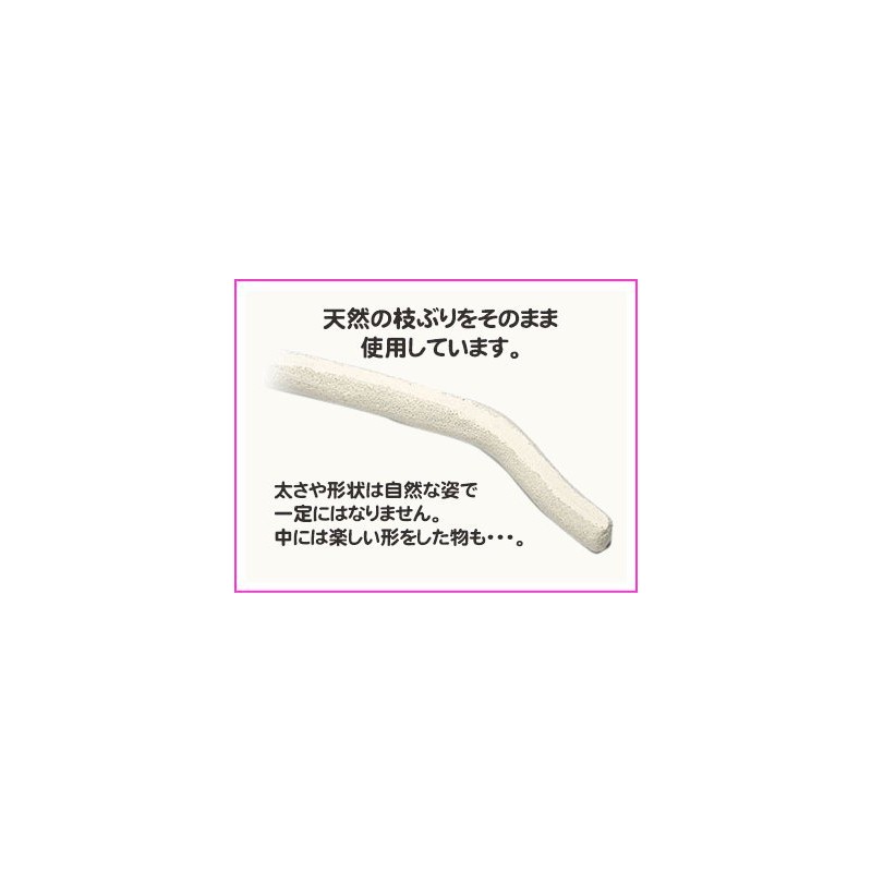 [Triple 晃 Company] bird for sandopa-ti Foot Friendly Nail Nobody