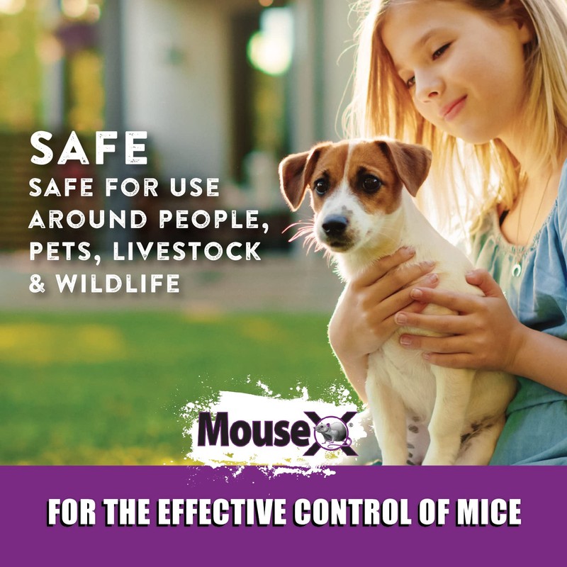 MouseX Throw Packs- for All Species of Rats Mice Safe