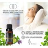 Herbolare - Aceite esencial Mint Citrus 15 ml. Sinergia con