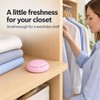 2-Piece Solid Air Freshener for Home & Car – Long-Lasting