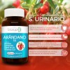 Extracto Arándano +suplementos Sistema Urinario 60caps700mg
