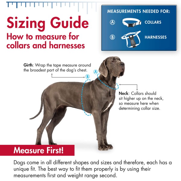 Coastal - No Slip - Martingale Adjustable Dog Collar, Blue,