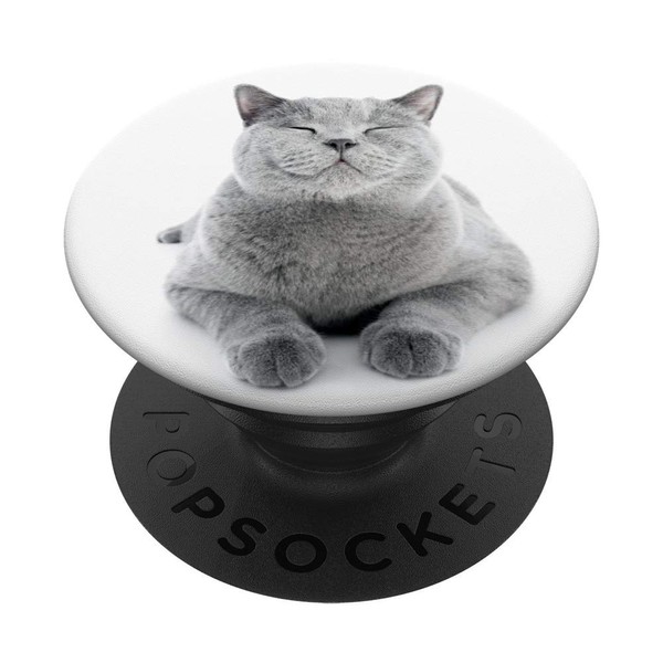 Cute Smiling Gray Cat Loveable Kitty