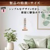 [Studio Plus] Simple Goddana, 3.9 inches (10 cm) Wide, Perfect