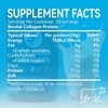 Sporty4 Collagen Powder - Bovine Protein Peptides - High Protein