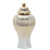 Decorative Ceramic Ginger jar with lid,Storage Ginger jar,Ceramic vase for