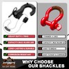 AUTOBOTS Tigertooth D Ring Shackles 45,000lb Break Strength, 3/4”Shackle D