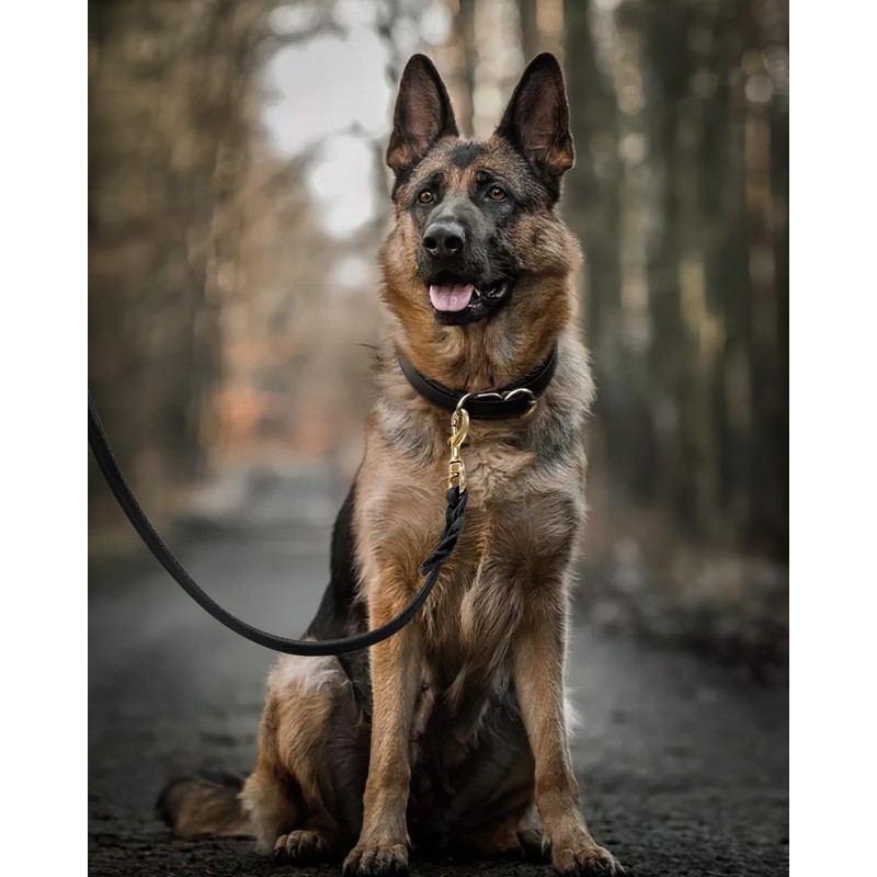 FAIRWIN Leather Dog Leash 6 Foot - Braided Military Grade