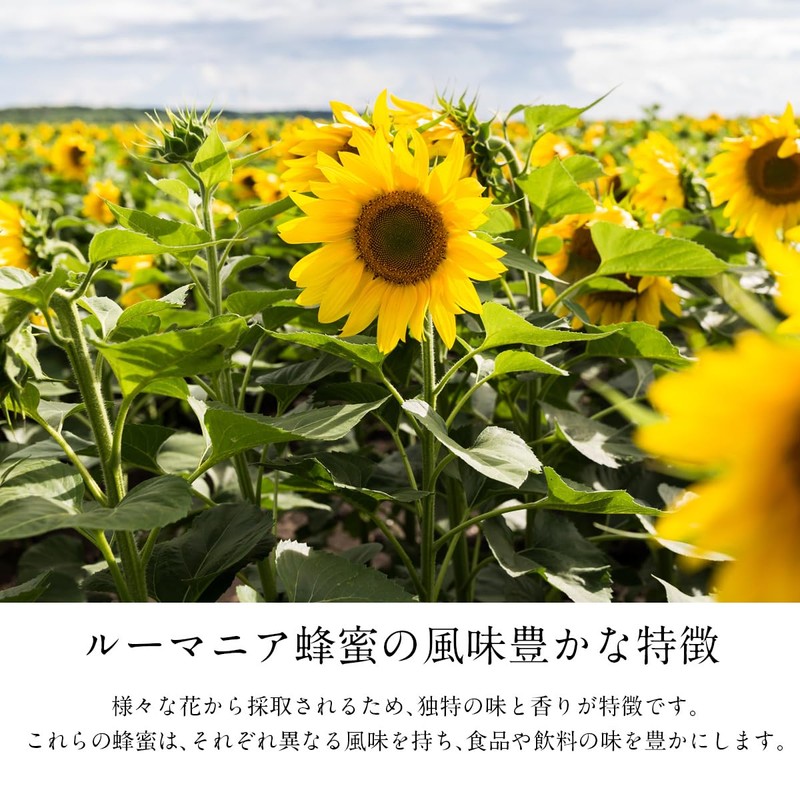 正栄 ルーマニア産 純粋はちみつ(ポリ) 500g