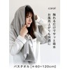 CBJAPAN Carari Day Bath Towel, 5x Water Absorbency Microfiber, Gray,