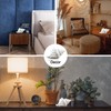 Conch Shell Night Light-Battery Powered LED Night Light for Kids