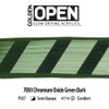 OPEN Slow-Drying Acrylics by GOLDEN, Chrom Oxide Green Dark, 5