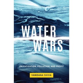 Water Wars: Privatization, Pollution, and Profit