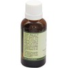 R V Essential Pure Moringa Carrier Oil 50 ml (1.69