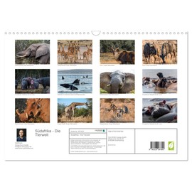 Südafrika - Die Tierwelt (Wandkalender 2026 DIN A3 quer), CALVENDO Monatskalender: 12 wunderschöne Tieraufnahmen aus Südafrika von dem Fotografen und Grafik-Designer Olaf Bruhn (CALVENDO Natur)