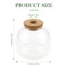 Glass Terrarium Jar with Cork Lid - 5.9 Inch Airtight