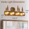 TOCHIC Rustic Bathroom Light Fixtures, 4 Lights Farmhouse Bathroom Vanity