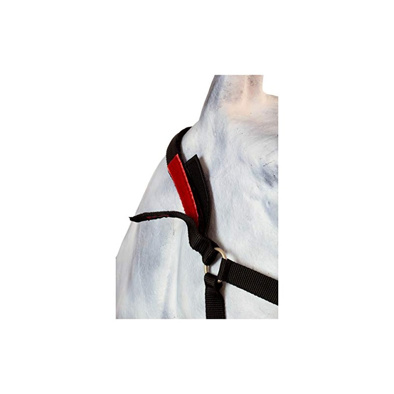 Marengos Safety Holder Black Thoroughbred