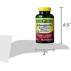 BASKETGOODS Spring Valley Ashwagandha- 500mg Root Powder, 60 Capsules (Pack