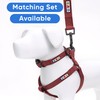 Pawtitas Solid Collar S Marsala Solid Puppy Collar Pet Collar