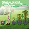 Sumloty 2 Pack Raised Garden Bed Planter Box with Trellis,