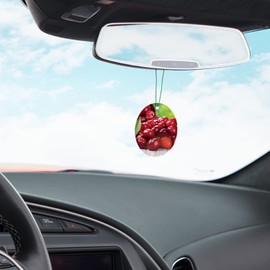 Armor All 18519 3 Pack Air Freshener Hanging Card, 3 Pack