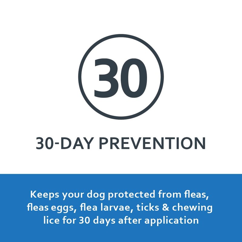 SENTRY PET CARE SENTRY Fiproguard for Dogs, Flea and Tick