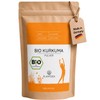 PlantDEA, Organic Turmeric Powder (500 g), 100% Organic Turmeric Powder,
