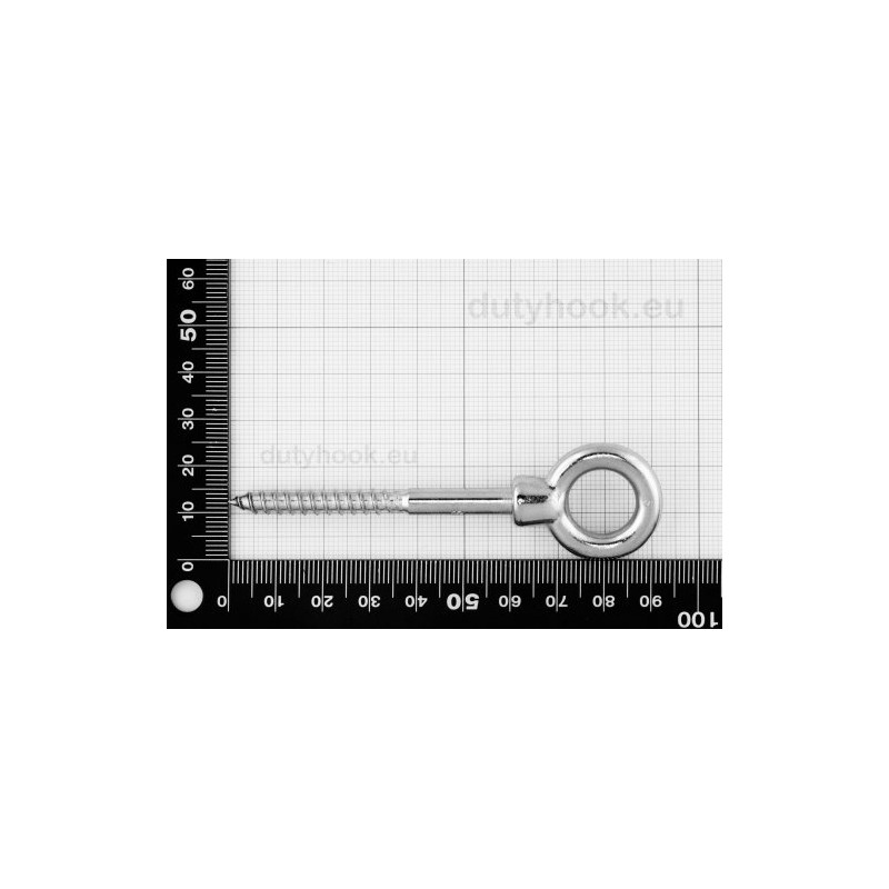 Dutyhook 6X60 Eye Bolt With Wood Thread, Stainless Steel AISI