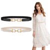 WERFORU Women's Thin Elastic Belt for Dresses, Thin Retro Stretch