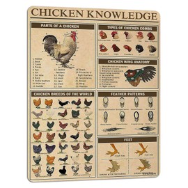 Chicken Knowledge Metal Tin Sign Chicken Breeds of The World Infographics Poster for Club Cafe Bar Home Kitchen Wall Decorations 12X8 Inch
