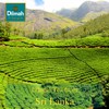 Dilmah Tea Bags | Premium Single Origin, 100% Pure Ceylon