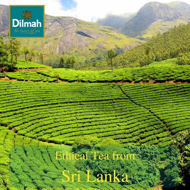 Dilmah Tea Bags | Premium Single Origin, 100% Pure Ceylon