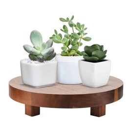 Lbwstellar 9" Natural Wood Pedestal Stand, Handmade Round Plant Stand, Farmhouse kitchen Decor Accessories, Wood Riser Serving Tray for Kitchen Counter, Wood Stand for Display, Kitchen Island Decor