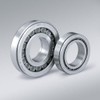 NSK Cylindrical Roller Bearing N205W