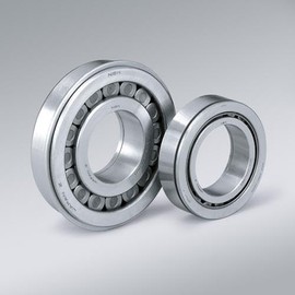 NSK Cylindrical Roller Bearing N205W