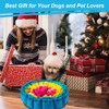 Vivifying Snuffle Mat for Dogs, Interactive Feeding Game for Boredom