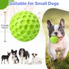 DISSKNIC Indestructible Squeaky Dog Balls Puppy Toys, Interactive Dog Toys