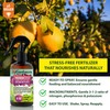 Gardenera Professional Olive Tree Spray Fertilizer Mist for Home Gardening