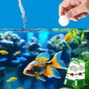 Powerful Aquarium Water Treatment Tablets for Fish Tanks (2 Bottles)