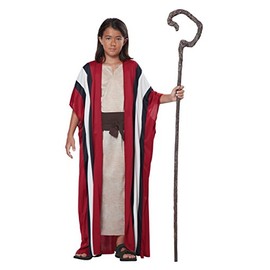 California Costumes Shepherd/Moses Boy Costume, One Color, Small/Medium